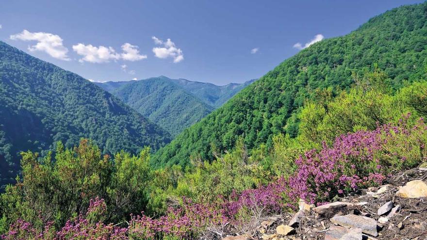 Qué visitar en el suroccidente asturiano, un &quot;ecosistema&quot; rico en naturaleza, cultura y vino