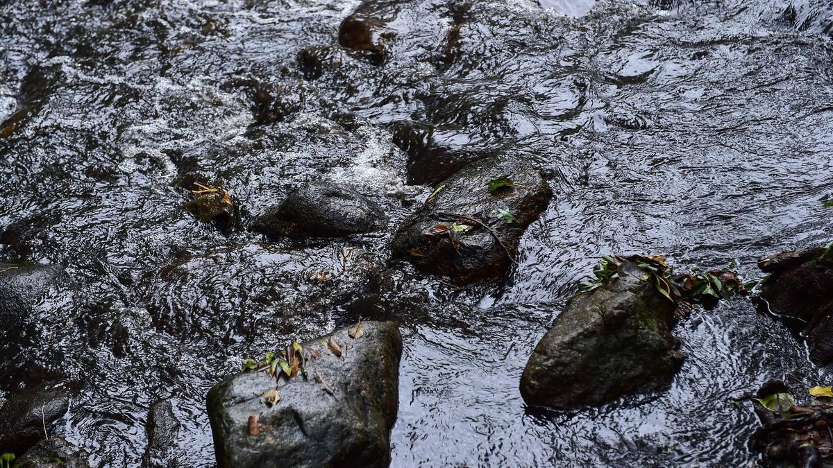 Fotogalería | El agua de los ríos del Jerte y la Vera arrastra la ceniza de los incendios de este verano