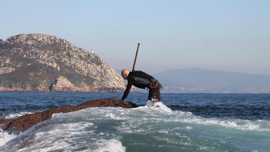 Así se trabaja el percebe en el islote de Agoeiro