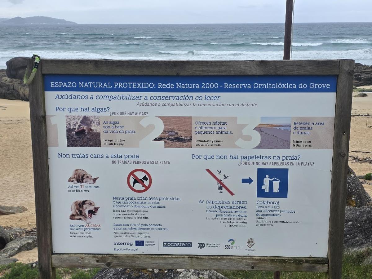 Uno de los carteles que informan de la prohibición de acceder con perros a la playa.