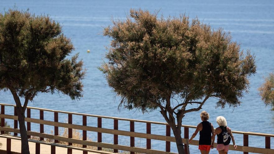 La Diputación invierte 1,3 millones en nuevos tramos de la Senda Litoral en Mijas y Benalmádena