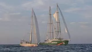 Freire Shipyard firma la construcción de un "buque ecológico" a vela y baterías para Greenpeace