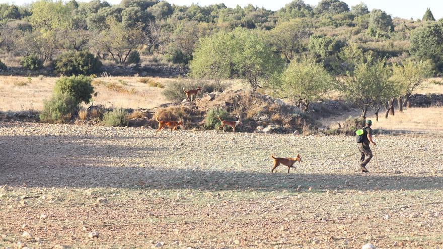 La RFEC pide la retirada de la Ley Animalista ante la falta de consenso social y político