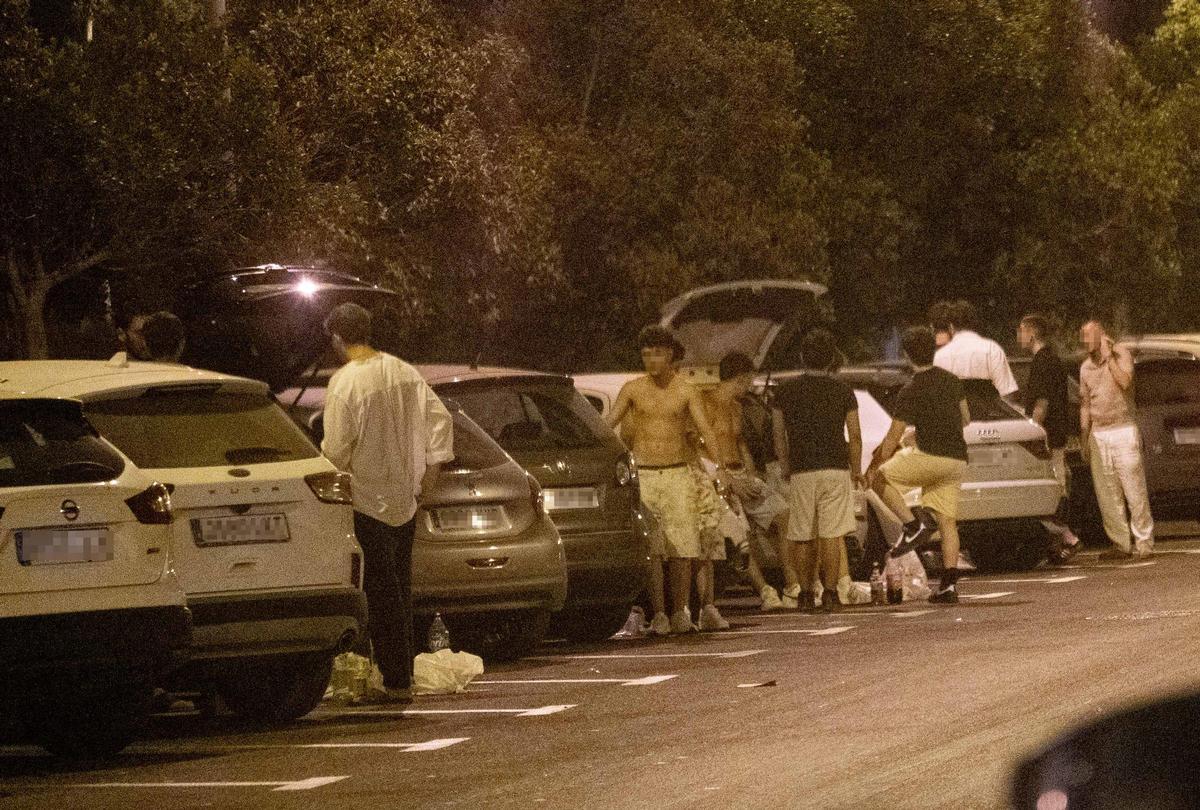 Botellón en la zona de la Albufereta en Alicante