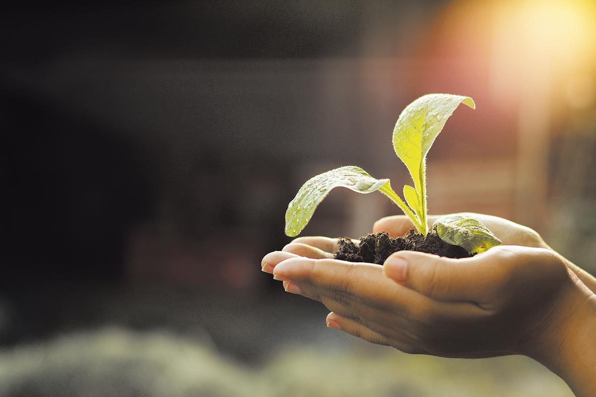La transformació sostenible del sector tabaquer