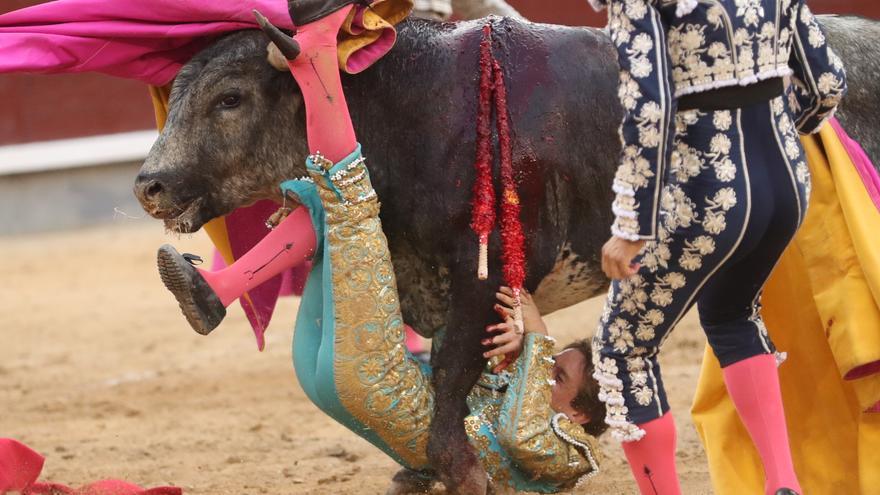 El mexicano Arturo Gilio, segundo torero corneado en San Isidro