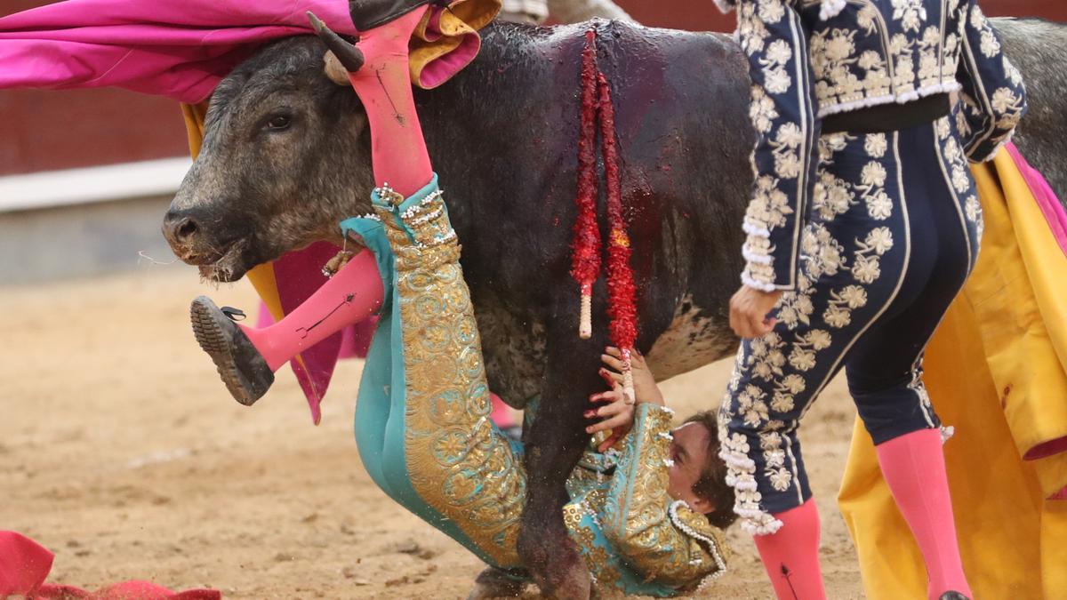 El mexicano Arturo Gilio, segundo torero corneado en San Isidro