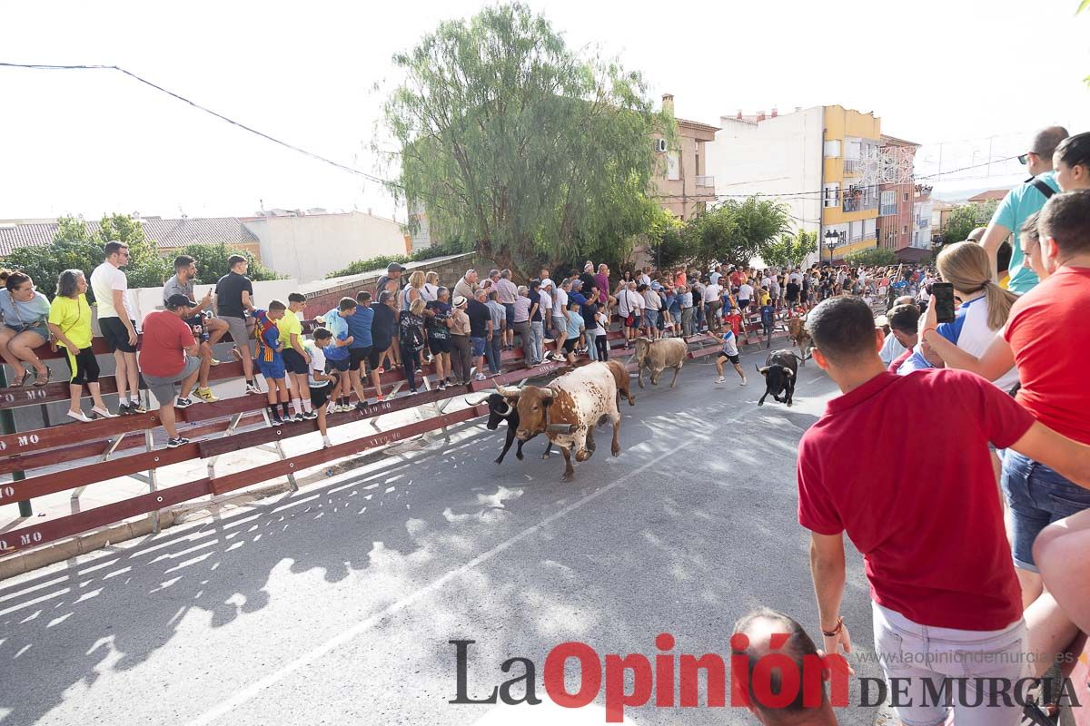 Séptimo encierro de las Fiestas de Moratalla