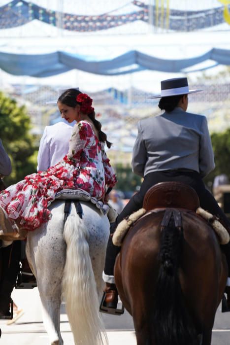 Primeros caballos en el Cortijo de Torres