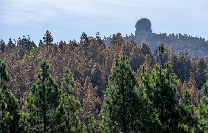 27/09/2017 CUMBRE DE GRAN CANARIA. Consejero del Gobierno de Canarias Morales del incendio. FOTO: J. PÉREZ CURBELO