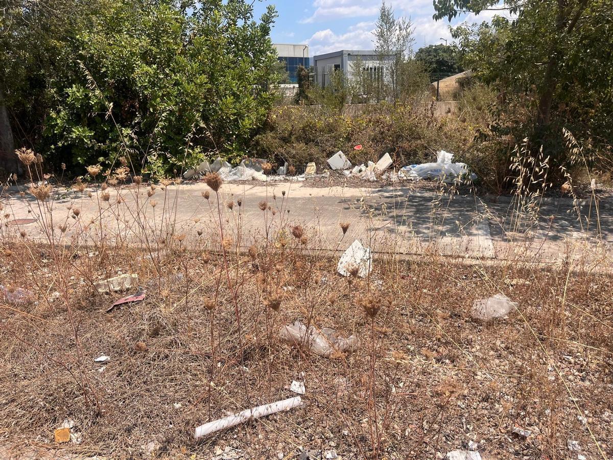 Así se encuentra la carretera de acceso al polígono de Ses Veles, donde se encuentra la planta de Son Reus.