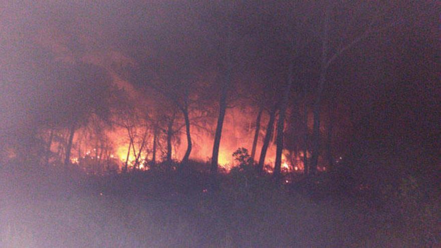 Controlado el incendio forestal de sa Canova, que ha quemado 1,6 hectáreas