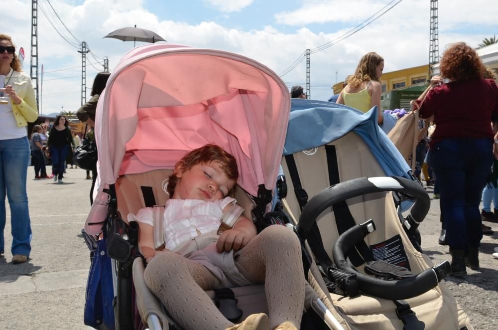 Ambiente de sábado por la tarde en el SOS4.8