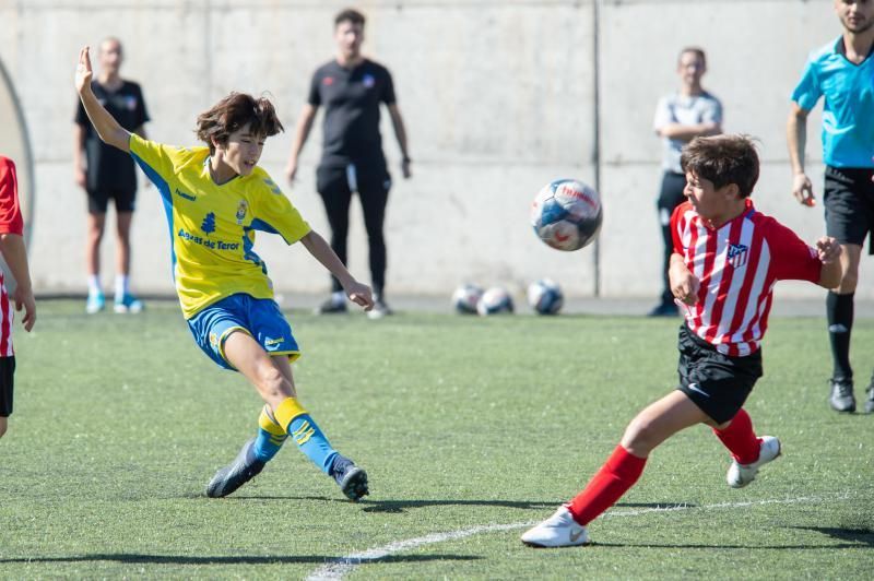 Las Palmas - Huracán (alevines)  | 01/02/2020 | Fotógrafo: Tony Hernández