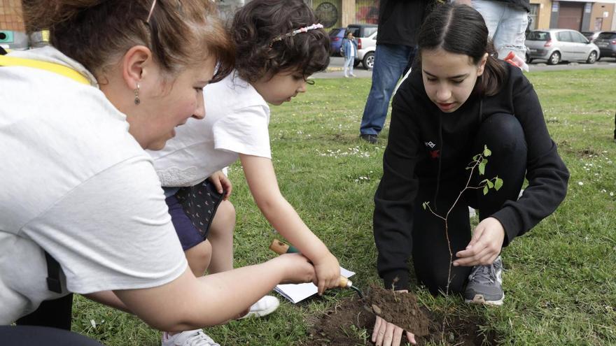 Gijón reivindica un gran parque en el Solarón plantando árboles: &quot;Todos preferimos una zona verde antes que edificios&quot;