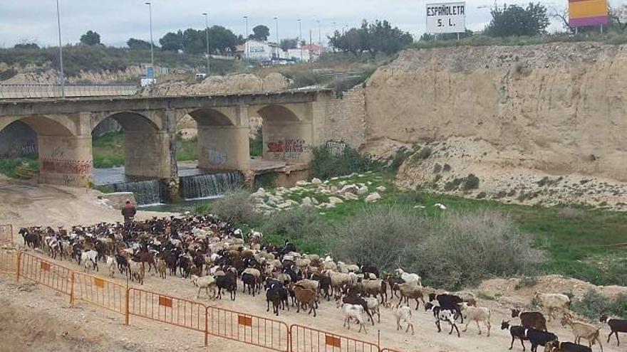 El río Seco a la altura de la antigua N-332, en cuyo entorno el Ayuntamiento pretende construir 2.500 viviendas