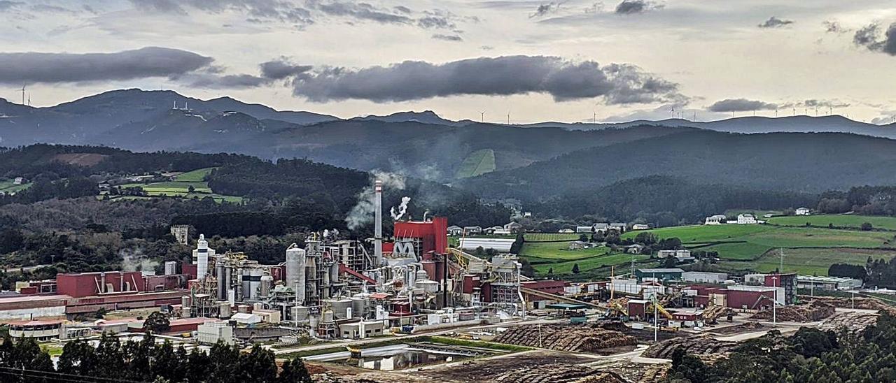 La fábrica de Ence en Navia.