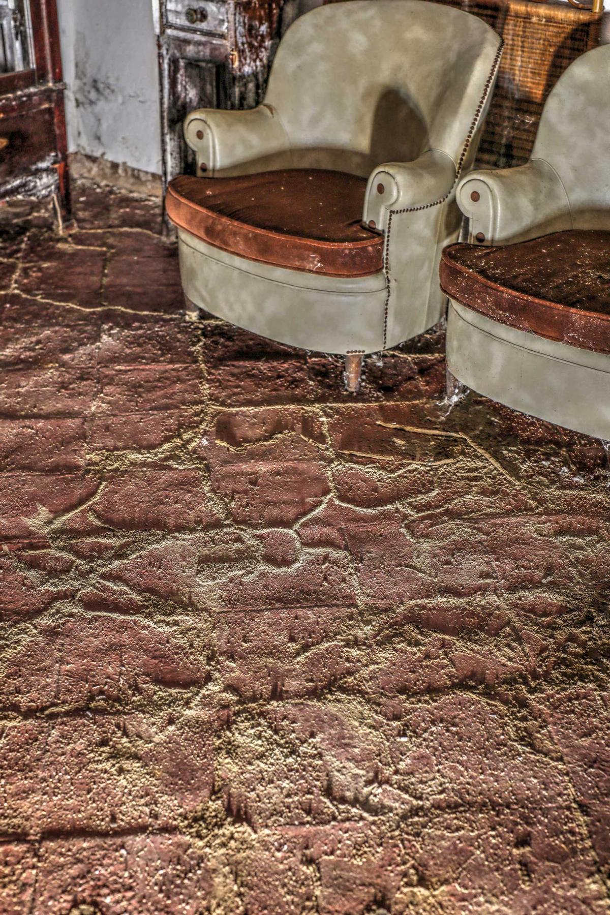 Las deformaciones en superficies como techos o suelos denotan la presencia de termitas.