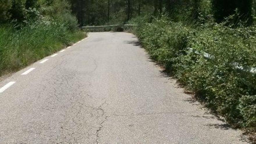 La vegetació envaeix un camí de Castellar de la Ribera, imatge d&#039;arxiu