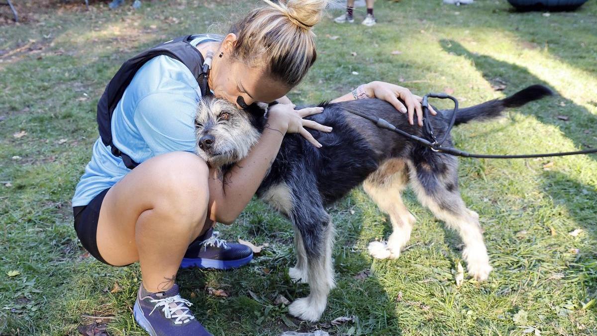 ¿Te imaginas tener una nómina por acariciar perros?