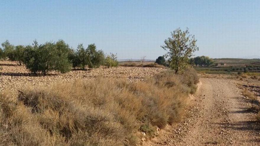 Muere un hombre de 70 años cuando circulaba en moto cerca de Lucena de Jalón