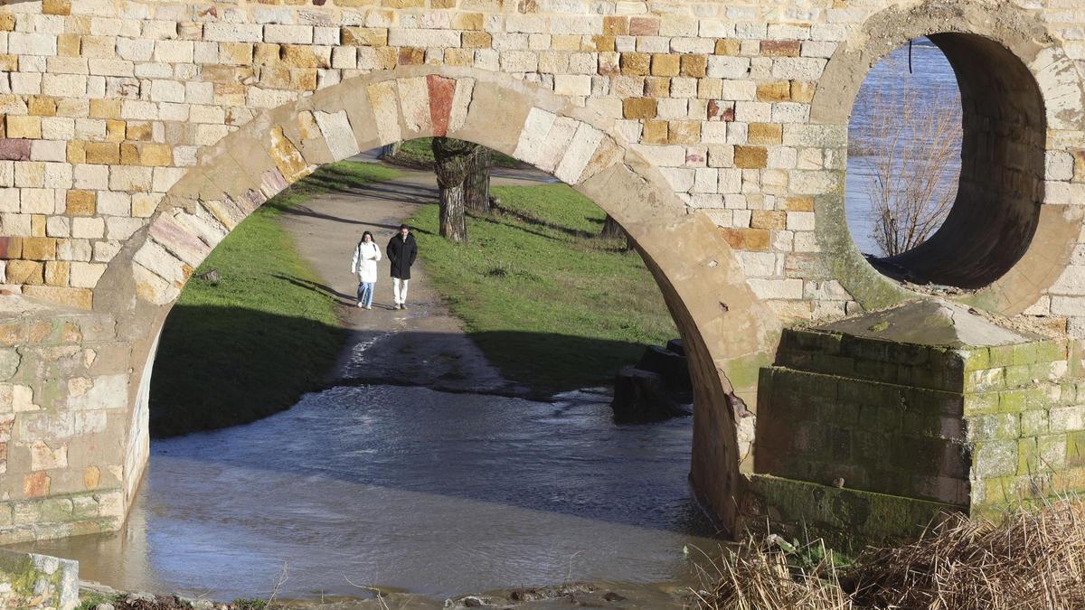 DUERO ZAMORA | El río rebosa en la ciudad tras las últimas lluvias y nevadas