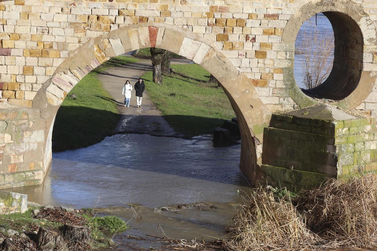 El río Duero a su paso por la ciudad de Zamora, este viernes.