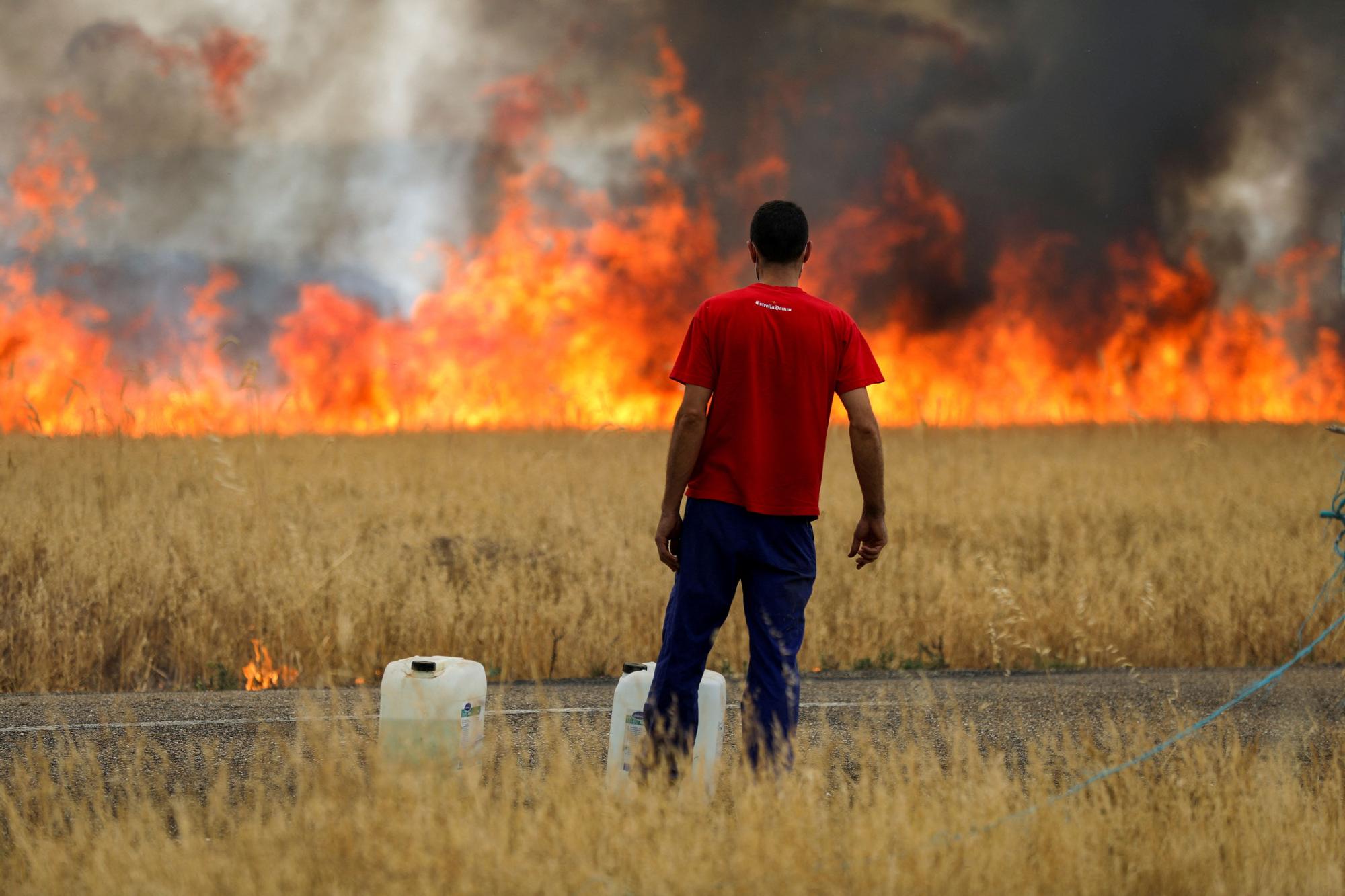 Un pastor observa las llamas del incendio en Zamora entre Tábara y Losacio, este lunes.