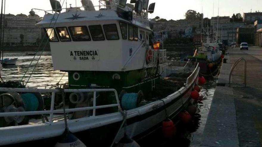 El cerquero &#039;A Tenencia&#039;, ayer, en el puerto de Sada.