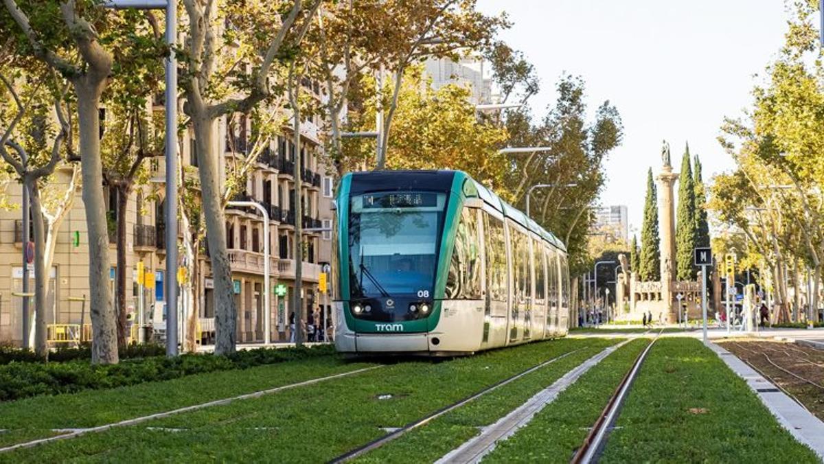 Un tranvía se desplaza por el paseo de Sant Joan.