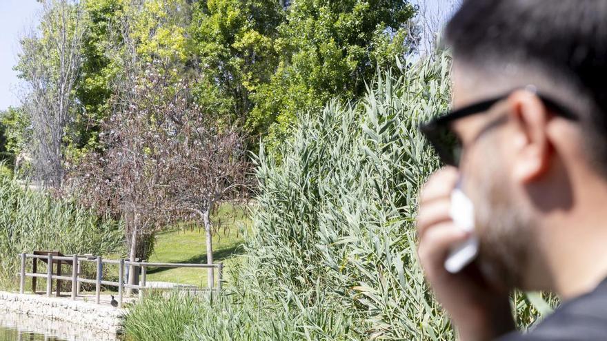 ¿No dejas de estornudar? Ojo: puede ser alergia y no un simple resfriado