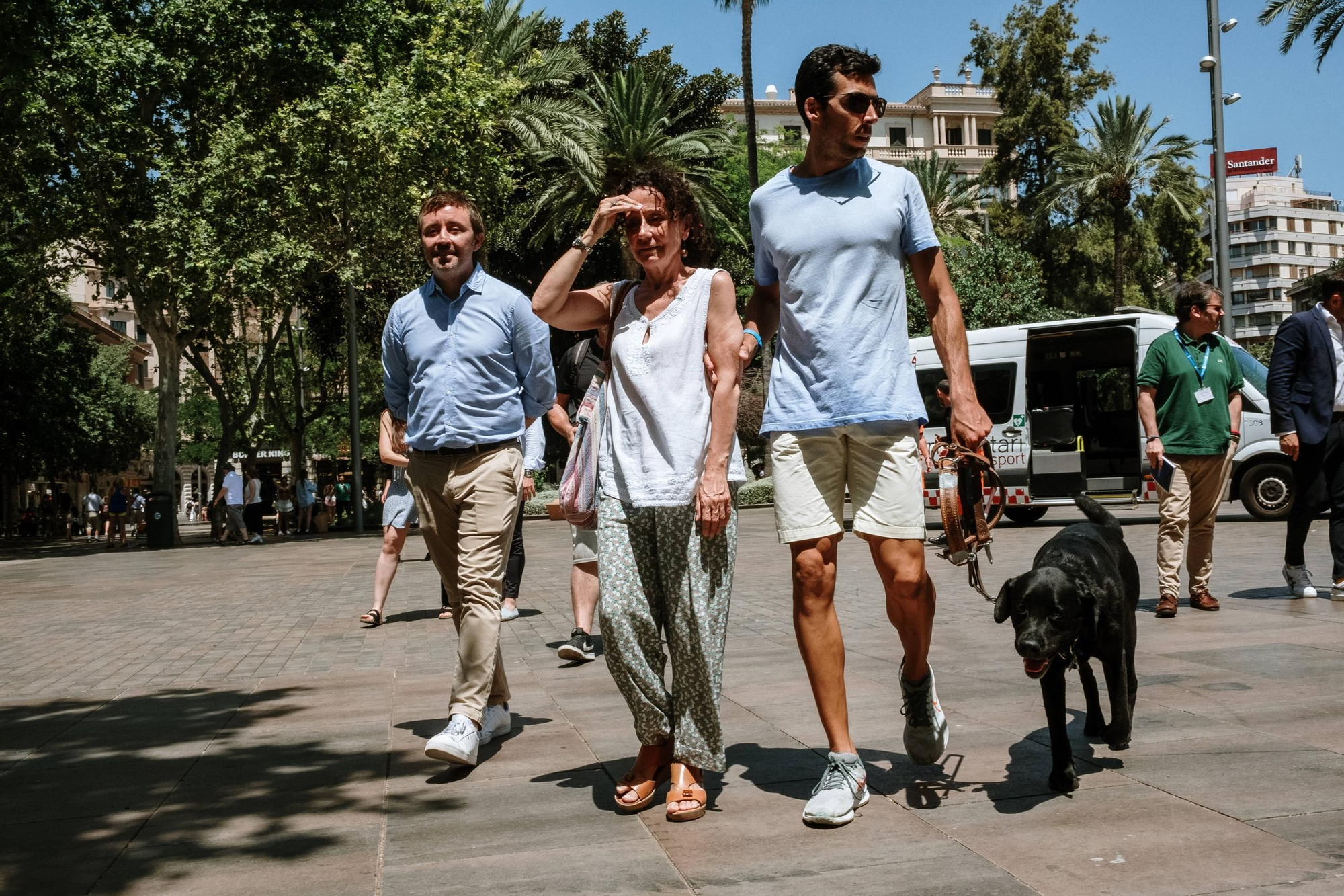 Los perros guía para pacientes con discapacidad ya pueden subir a las ambulancias en Baleares