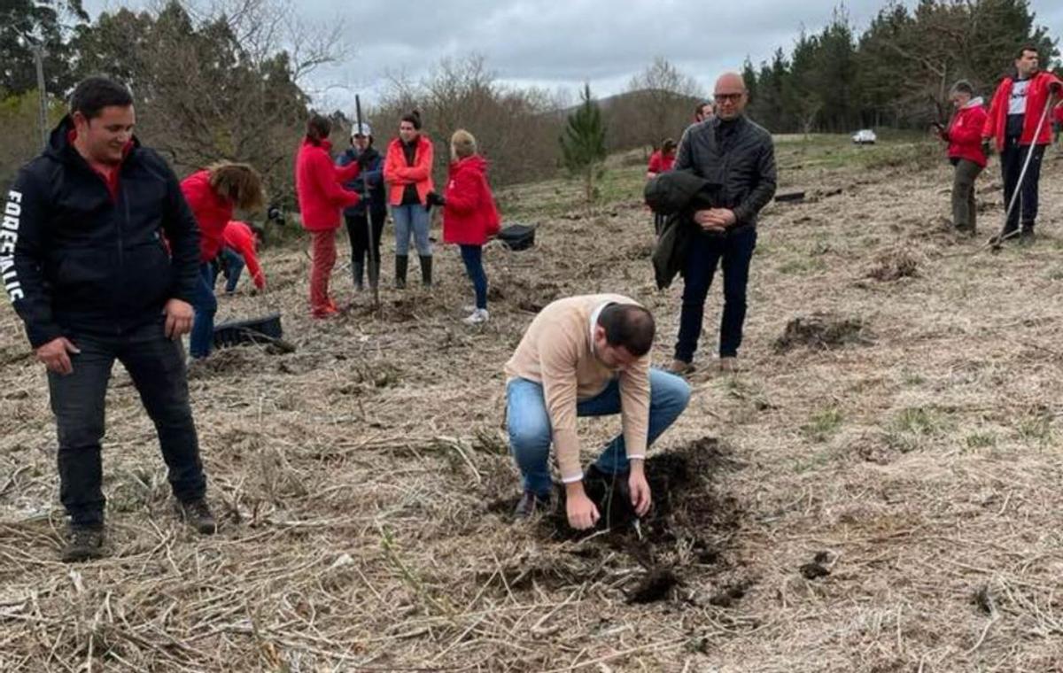 Las aseguradoras repueblan áreas forestales de Cerdedo-Cotobade por el Día del Bosque