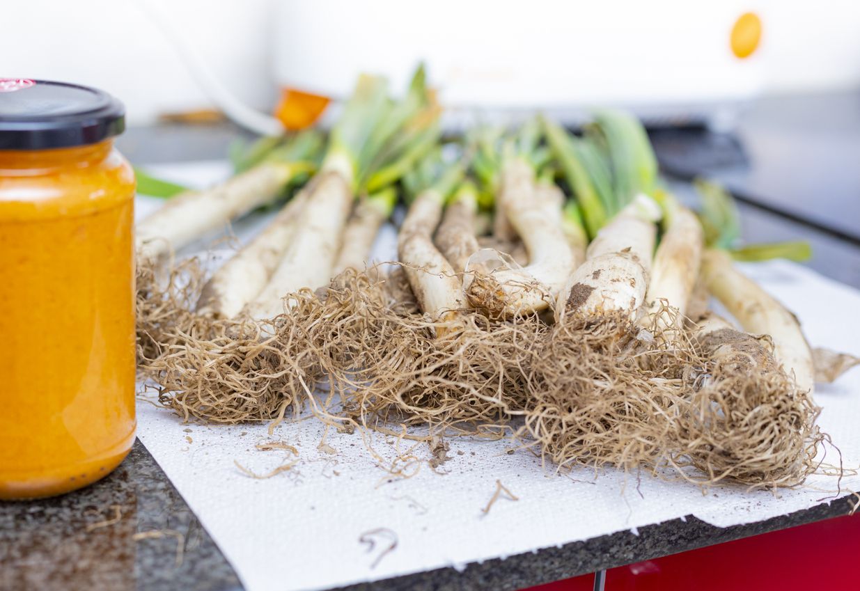Imagen de unos calçots, comida típica catalana