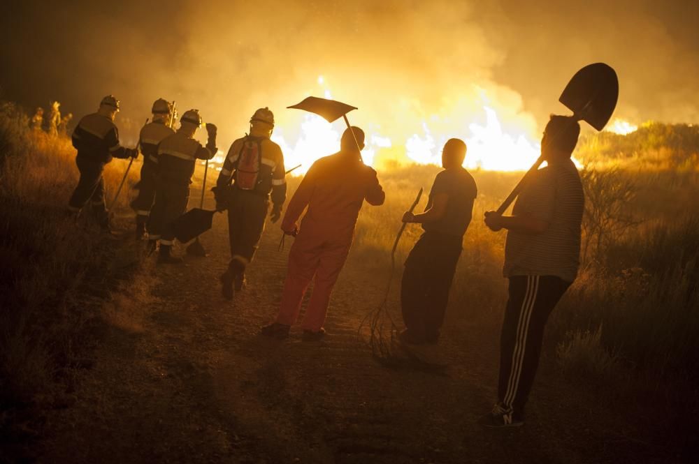 Oimbra sufre un incendio forestal // B.Lorenzo