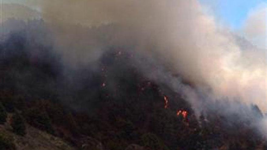 Declarado un incendio forestal en La Palma