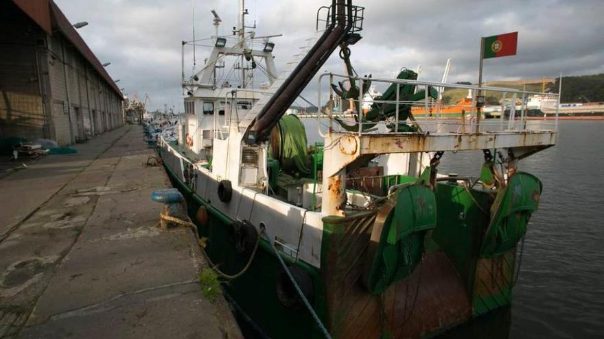 El arrastrero &quot;Velliño&quot;, atracado ayer de tarde en el puerto pesquero de Avilés.