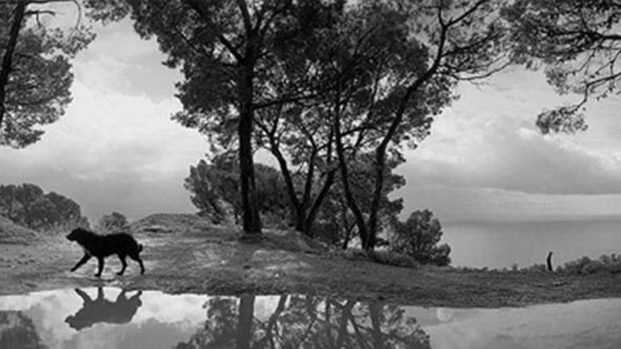 El mundo, visto tras la cámara de Sammallahti