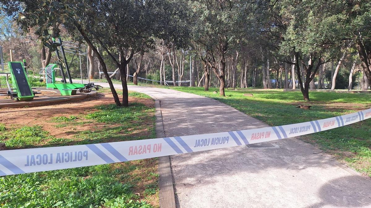 Desde la corporación se advierte que queda probibido el acceso a espacios abiertos municipales, como la pinada del Termet.