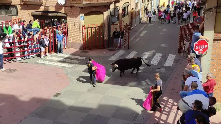 Así ha recorrido "Ferroviario" las calles de Benavente durante la III suelta de cajón de la Asociación Taurina La Reata