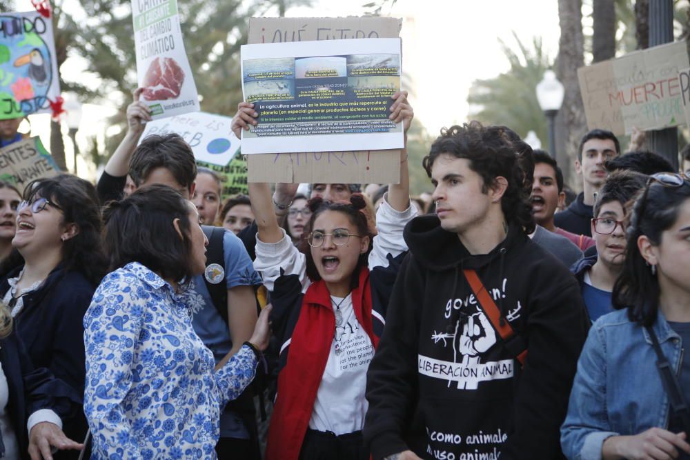 Clamor joven en Alicante contra el cambio climático