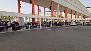 Colas en el aeropuerto de Palma ante la paralización del servicio de microbuses como protesta