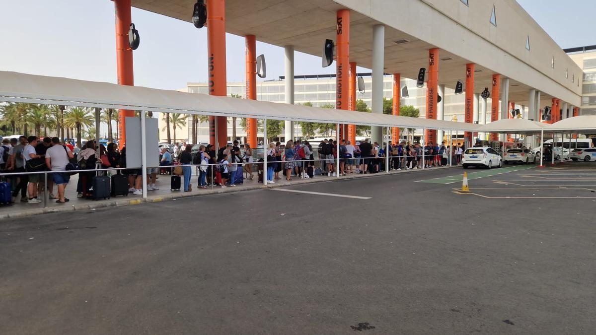 Colas interminables en el aeropuerto de Palma ante la paralización del servicio de microbuses como protesta