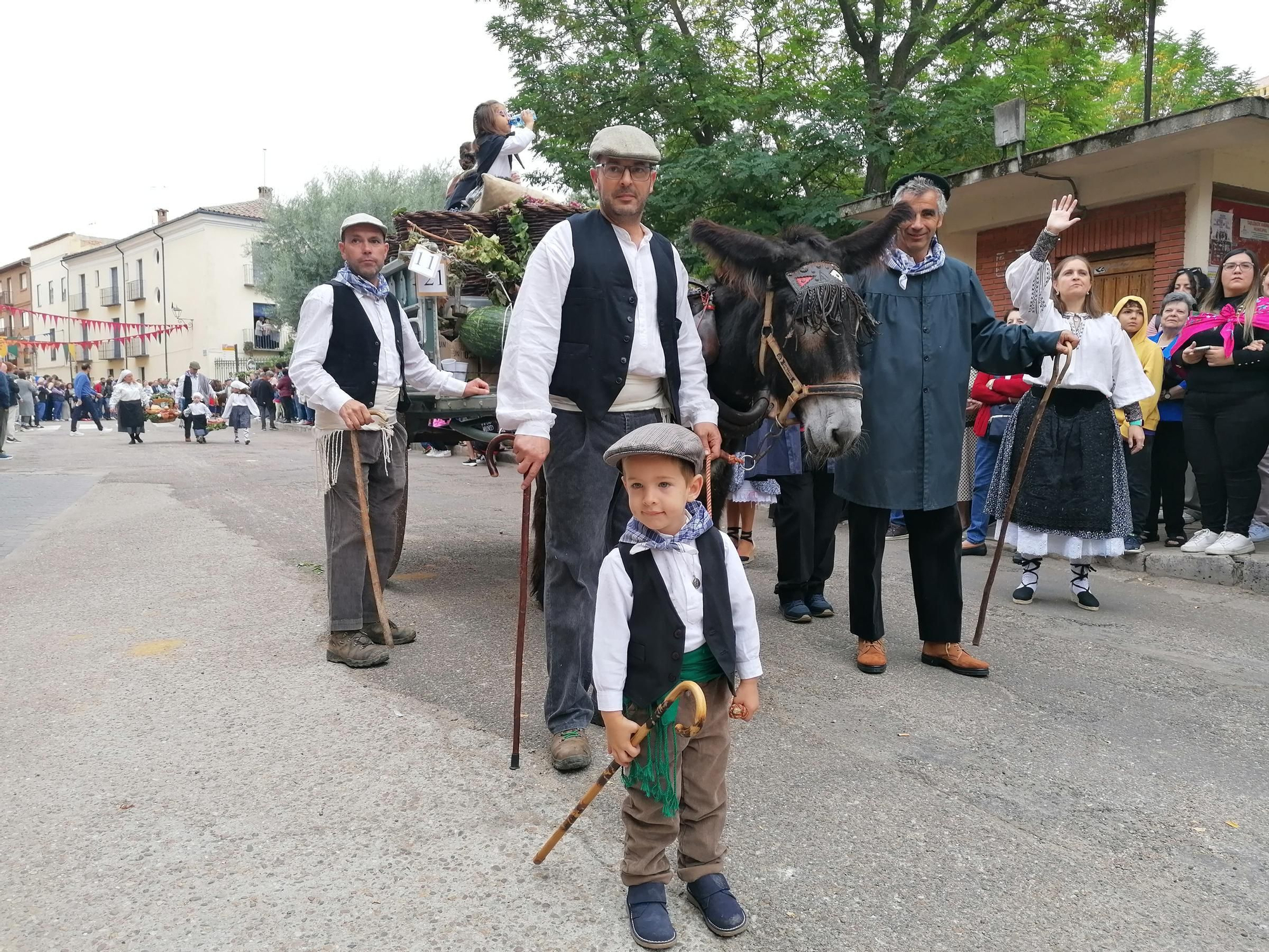 GALERÍA | Toro recrea la vendimia tradicional en el desfile de carros