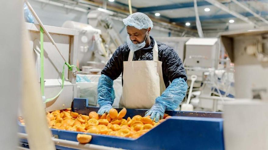 Un trabajador de la neerlandesa PeelPioneers procesa cáscaras de naranja en la planta de la compañía.