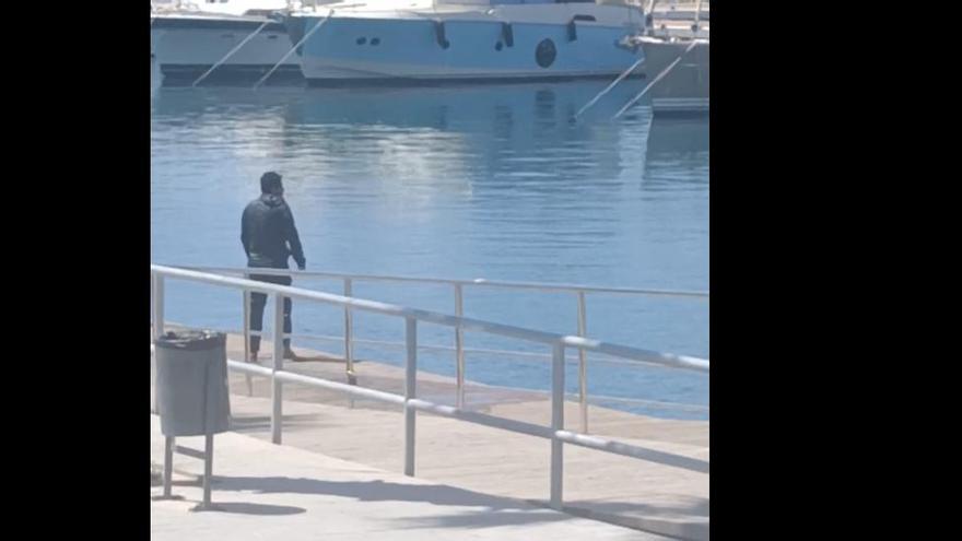 Un hombre se baña en el puerto de Alicante