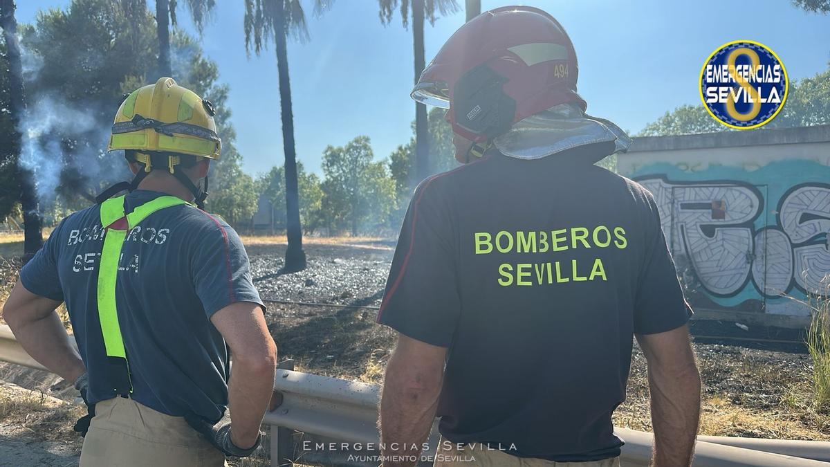Archivo. Bomberos de Sevilla sofocan el incendio en la Isla de la Cartuja en verano de 2025.