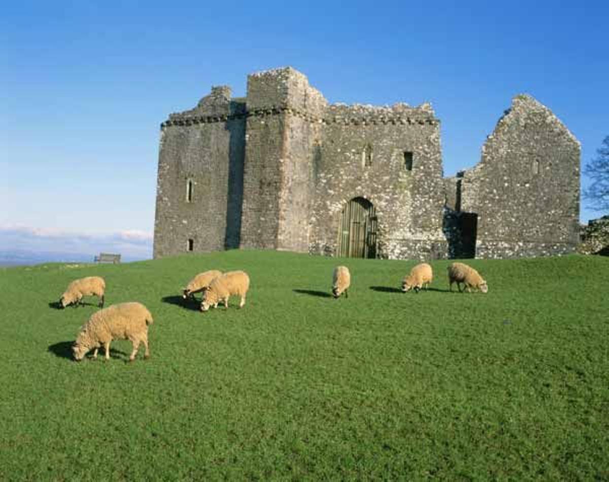Castillo de Weobley se encuentra en la península de Gower.