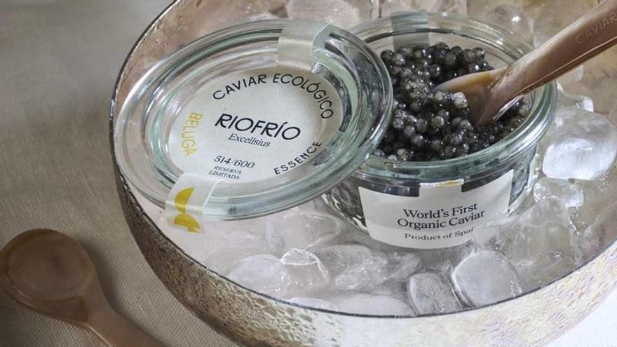Caviar Riofrío lanza una nueva edición del caviar ecológico beluga el más exclusivo del mundo