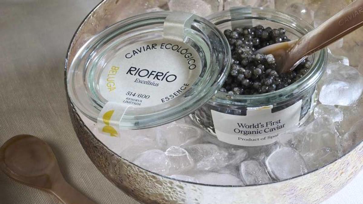CAVIAR RIOFRÍO BELUGA FOTO DE NAMASTÉ